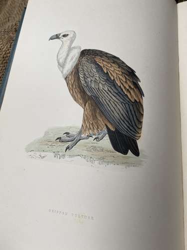 Morris's A History Of British Birds 1891 Complete 6 Volumes