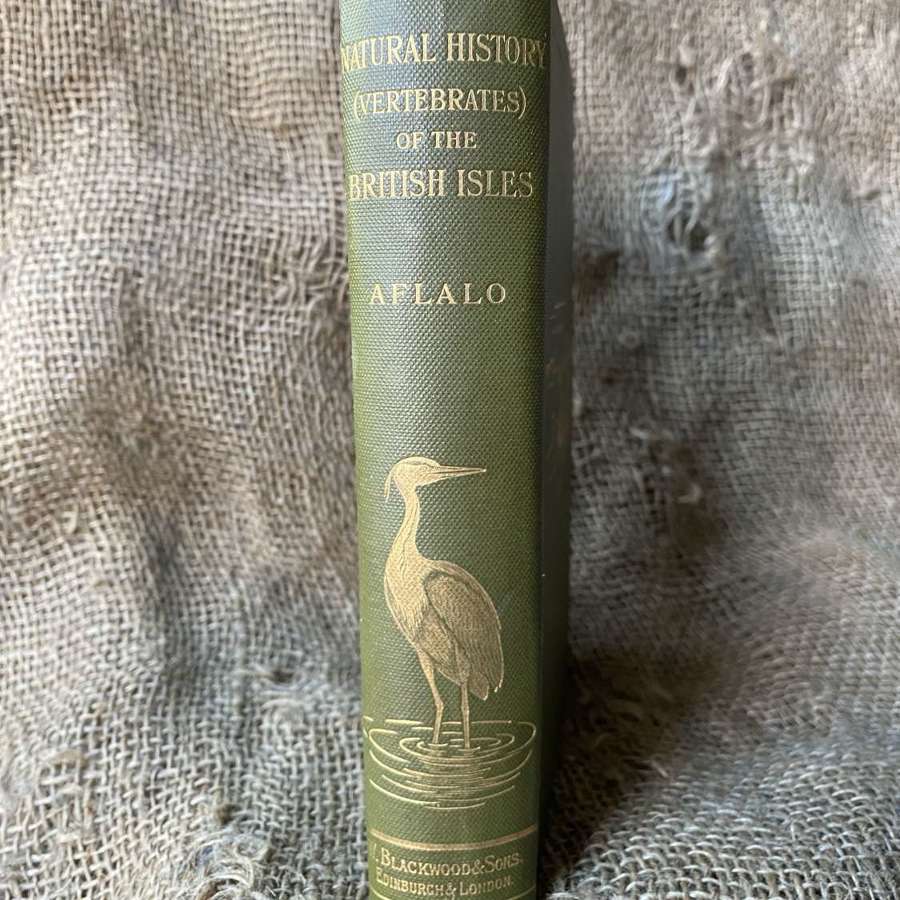 Natural History (Vertebrates) Of The British Isles by F. G. Aflalo