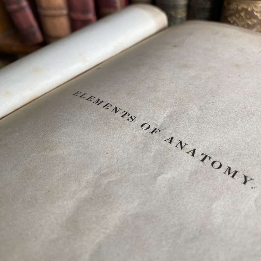Rare Antique Elements Of Anatomy By Jones Quain 1837 - illustrated