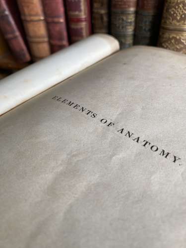 Rare Antique Elements Of Anatomy By Jones Quain 1837 - illustrated