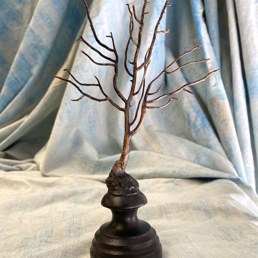An uncommon 19th century Mediterranean black coral specimen on stand