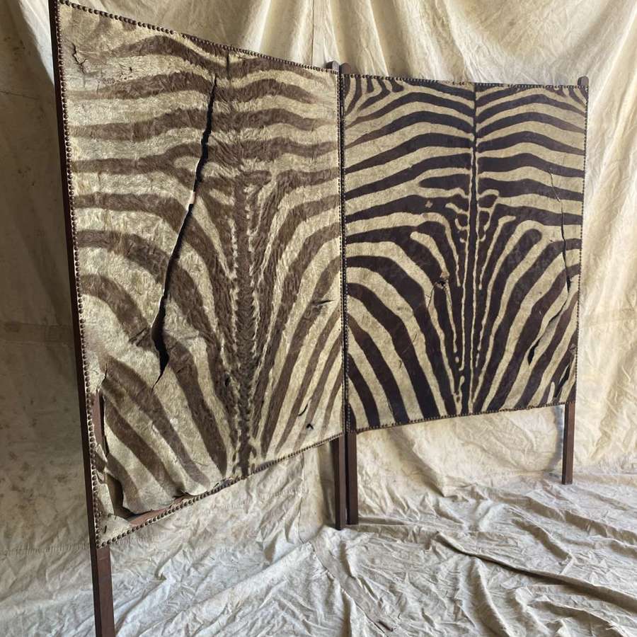An antique late 19th century taxidermy zebra hide dressing screen