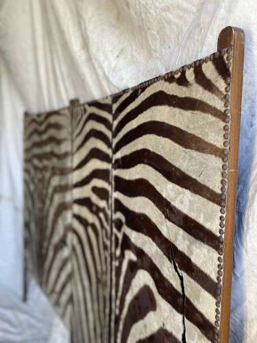 An antique late 19th century taxidermy zebra hide dressing screen