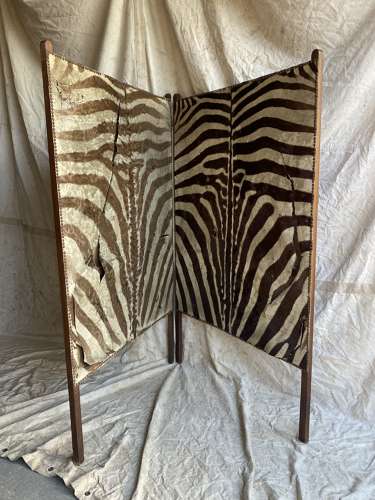 An antique late 19th century taxidermy zebra hide dressing screen