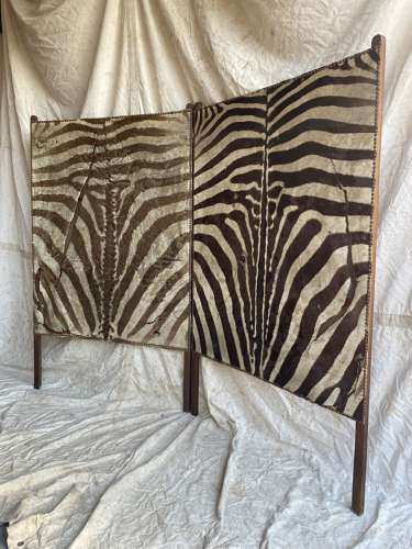 An antique late 19th century taxidermy zebra hide dressing screen