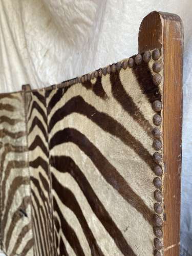 An antique late 19th century taxidermy zebra hide dressing screen