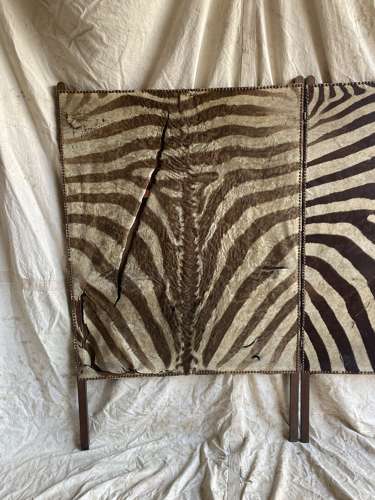 An antique late 19th century taxidermy zebra hide dressing screen