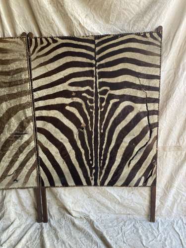 An antique late 19th century taxidermy zebra hide dressing screen