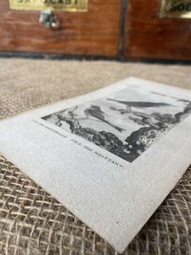 Antique George III engraving - The Nightingale & The Redstart