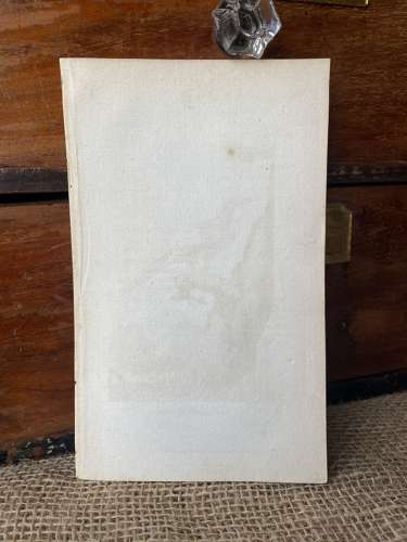 Antique George III engraving - The Common Bee-Eater