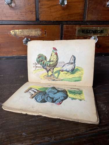 A rare antique 19th century magician’s ‘Blow Book’