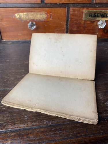 A rare antique 19th century magician’s ‘Blow Book’