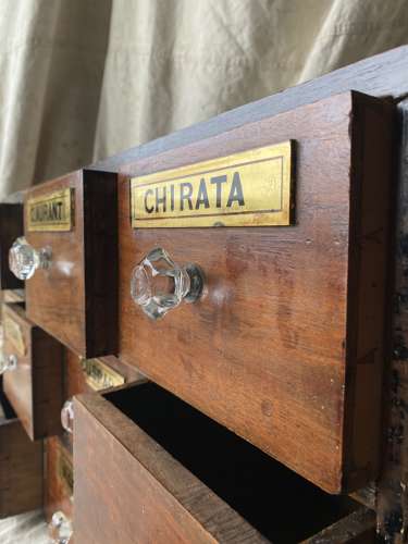 A bank of antique late Victorian apothecary shop drawers