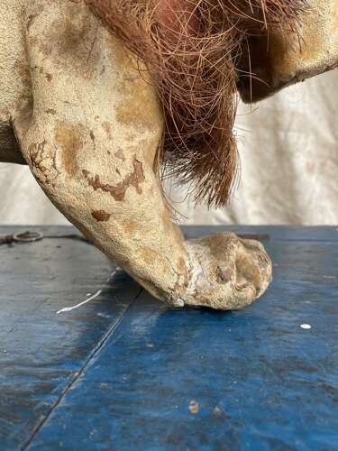 An antique French papier mache growler Bulldog toy by Roullet & Decamps