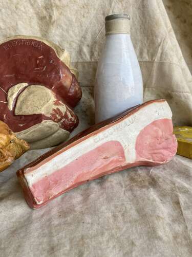 A collection of vintage 1950s Electrolux shop advertising display food